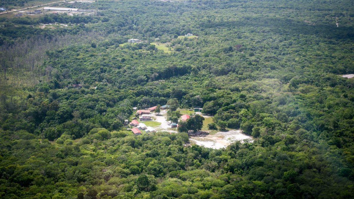 What are Some Interesting Facts About Guyana? Karib Digest